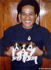 Kiu with JRT Pups